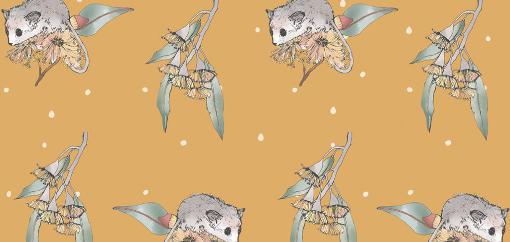 Possum and Gumnut